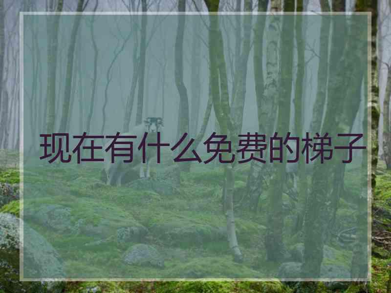 现在有什么免费的梯子