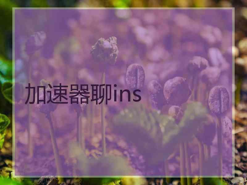 加速器聊ins