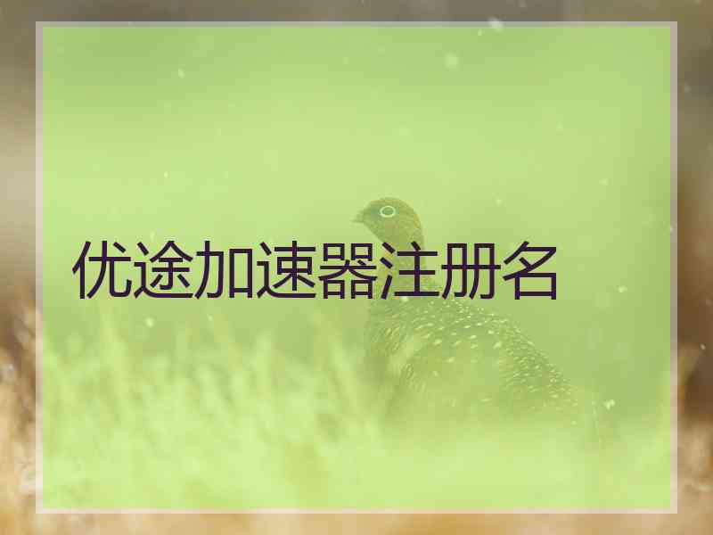 优途加速器注册名