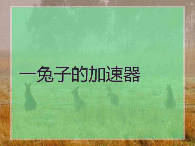 一兔子的加速器