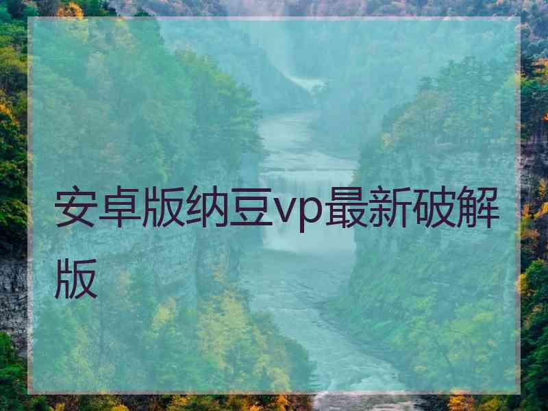 安卓版纳豆vp最新破解版