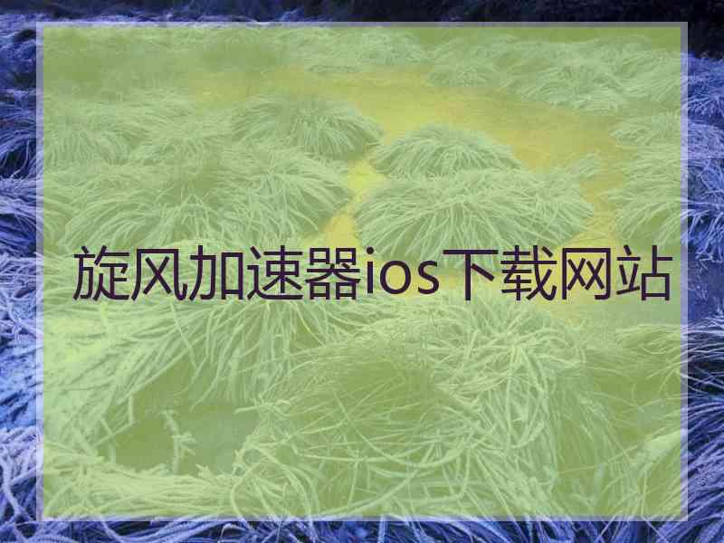 旋风加速器ios下载网站