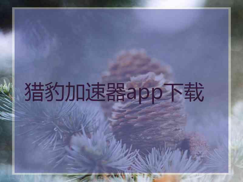 猎豹加速器app下载