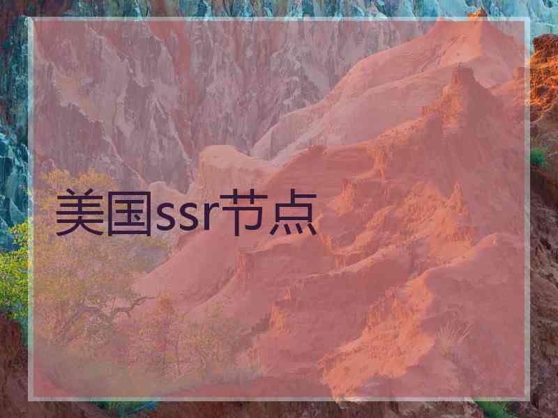 美国ssr节点