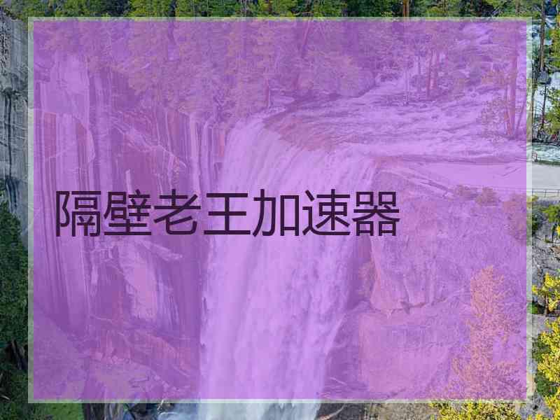 隔壁老王加速器