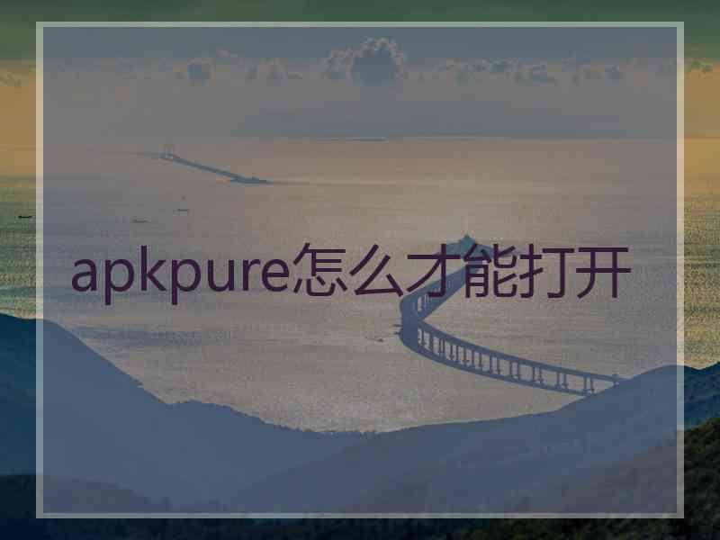 apkpure怎么才能打开
