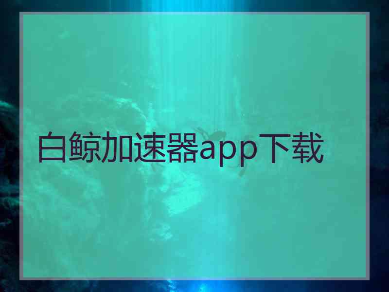 白鲸加速器app下载