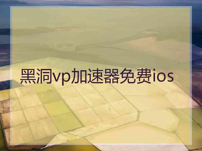 黑洞vp加速器免费ios