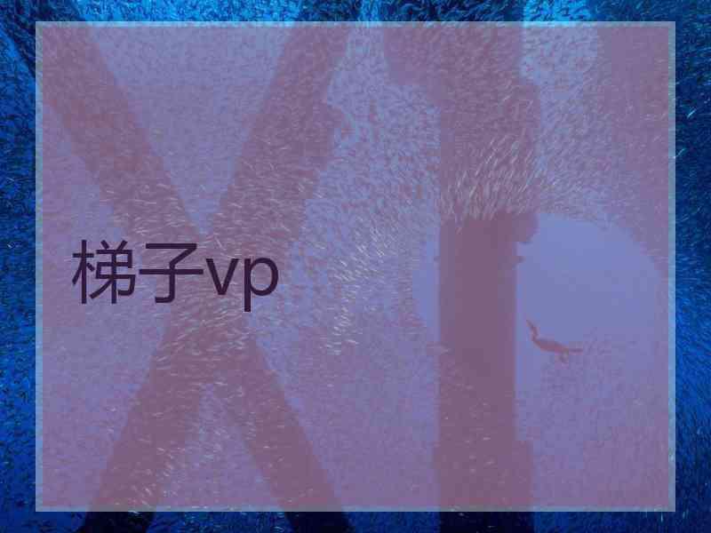 梯子vp