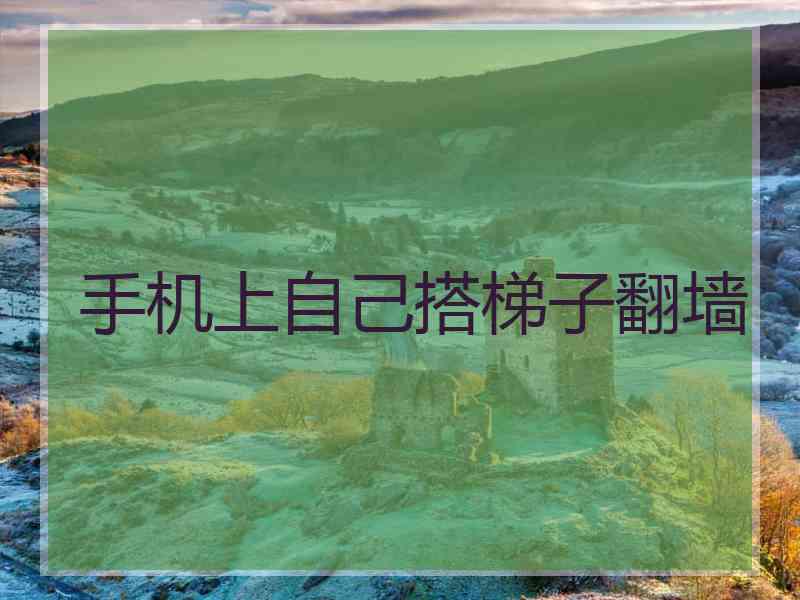 手机上自己搭梯子翻墙