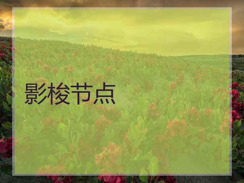 影梭节点