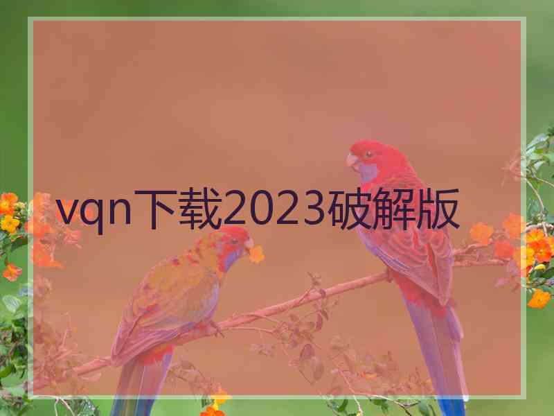 vqn下载2023破解版