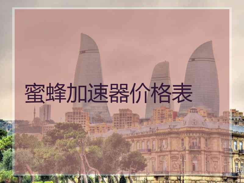 蜜蜂加速器价格表