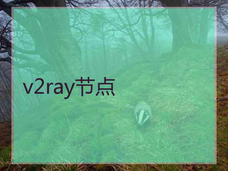 v2ray节点