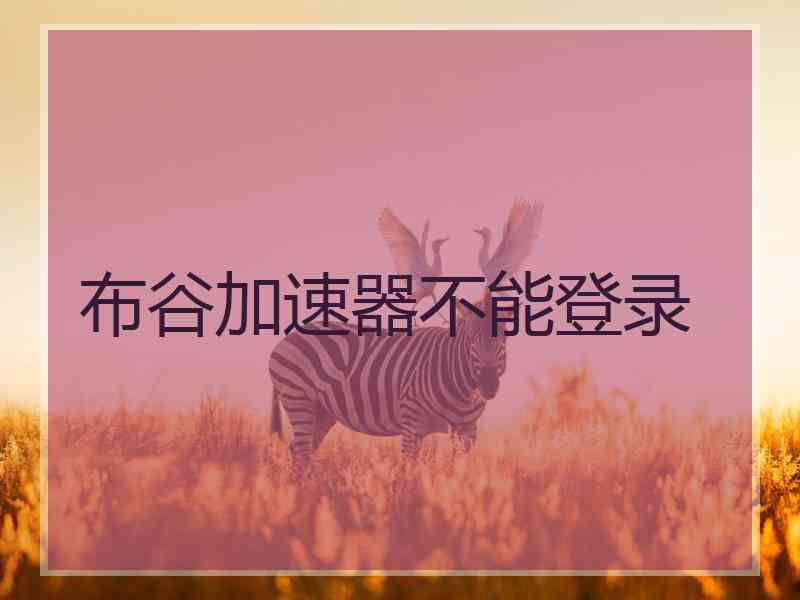 布谷加速器不能登录