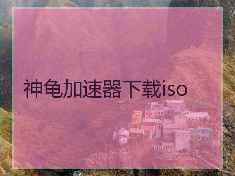 神龟加速器下载iso