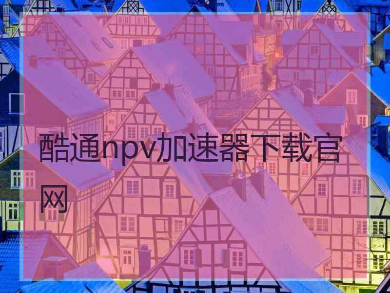 酷通npv加速器下载官网