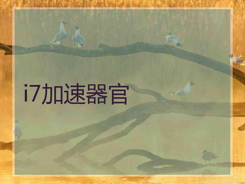 i7加速器官