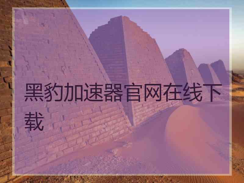 黑豹加速器官网在线下载