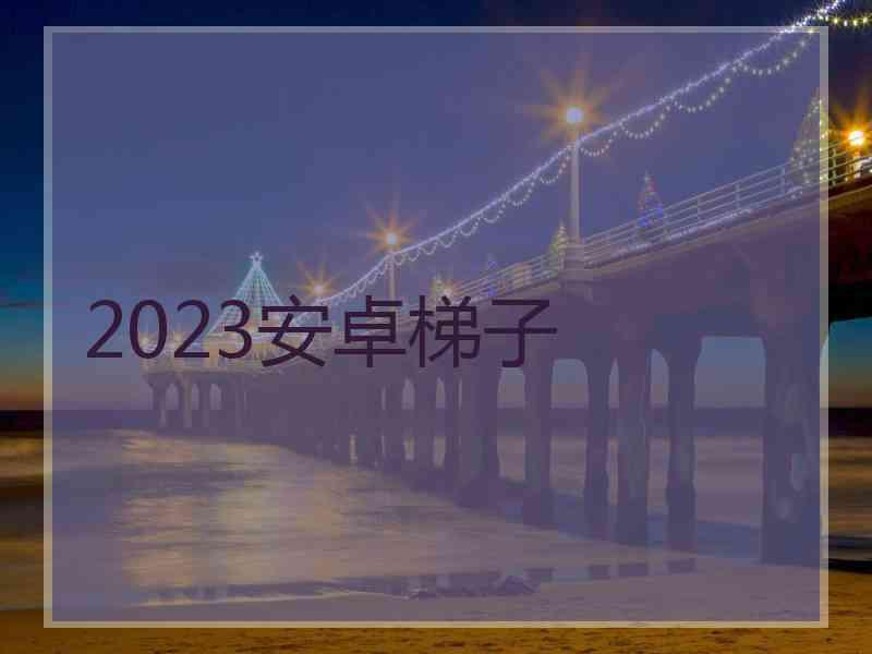 2023安卓梯子