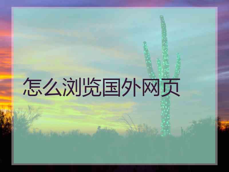 怎么浏览国外网页