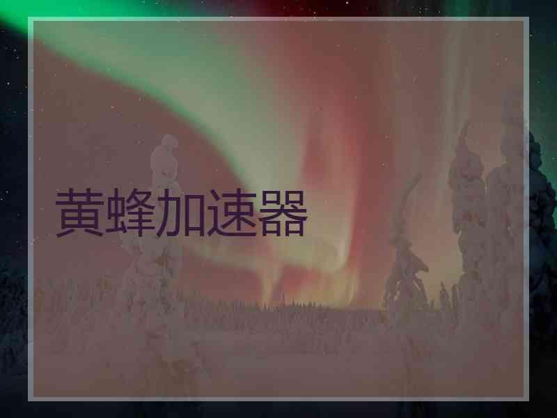 黄蜂加速器