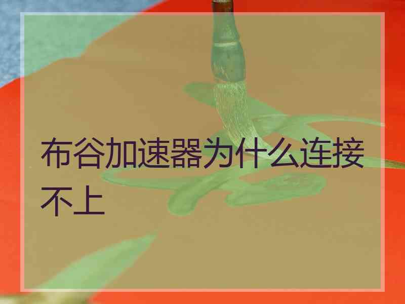 布谷加速器为什么连接不上