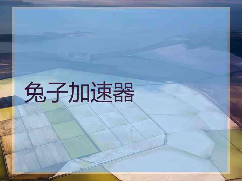 兔子加速器