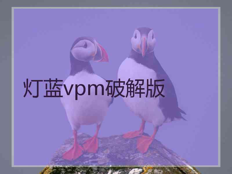 灯蓝vpm破解版