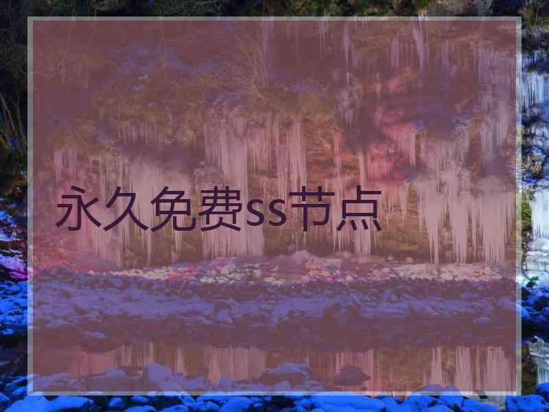 永久免费ss节点