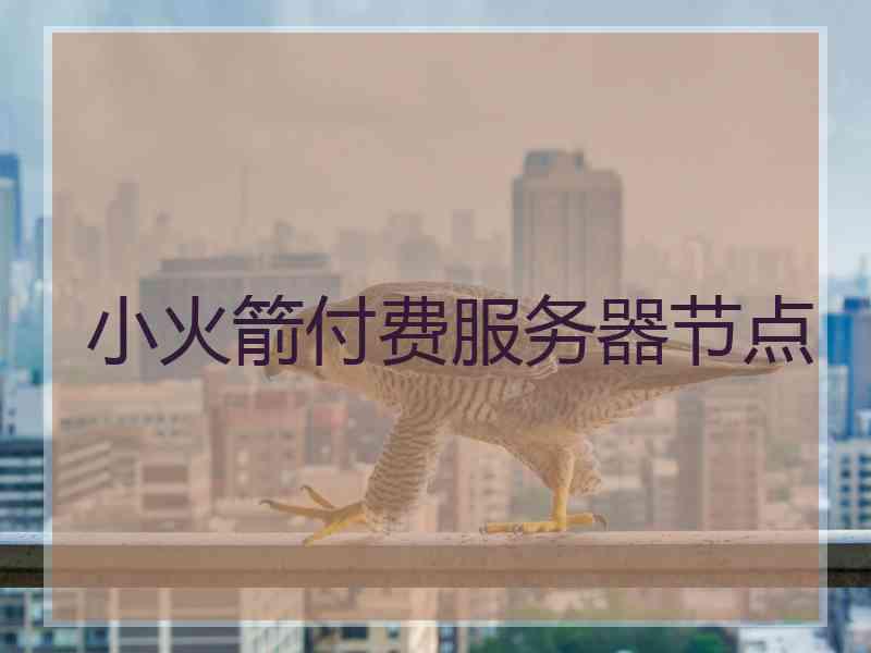 小火箭付费服务器节点