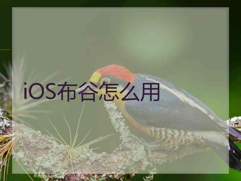 iOS布谷怎么用