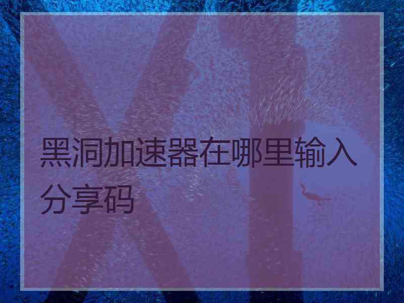 黑洞加速器在哪里输入分享码