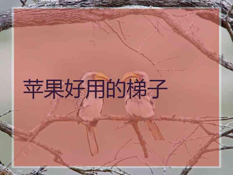 苹果好用的梯子