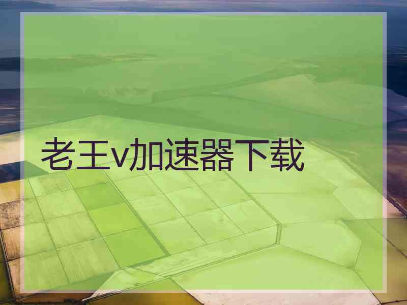 老王v加速器下载